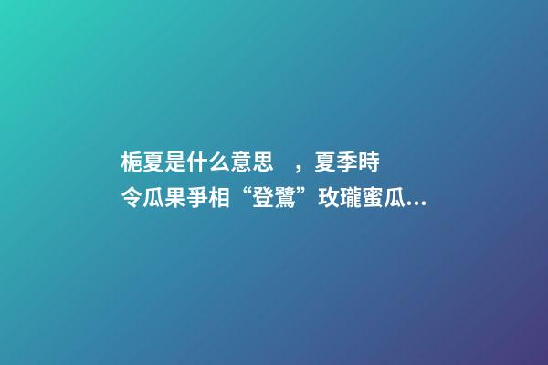 梔夏是什么意思，夏季時令瓜果爭相“登鷺”玫瓏蜜瓜跨界茶飲圈